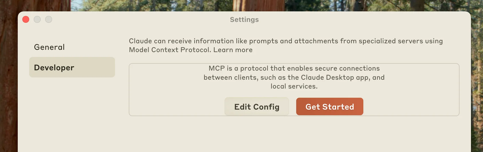Developer settings showing Edit Config button