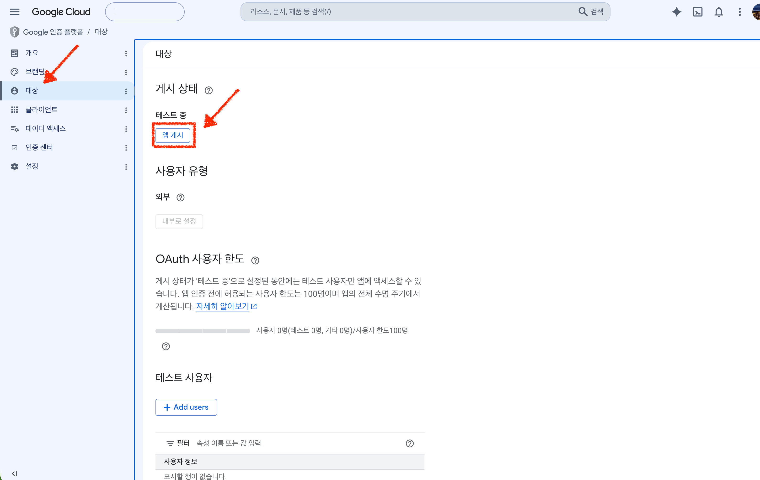 The Audience screen, with the publishing status reading testing and a publish app button highlighted