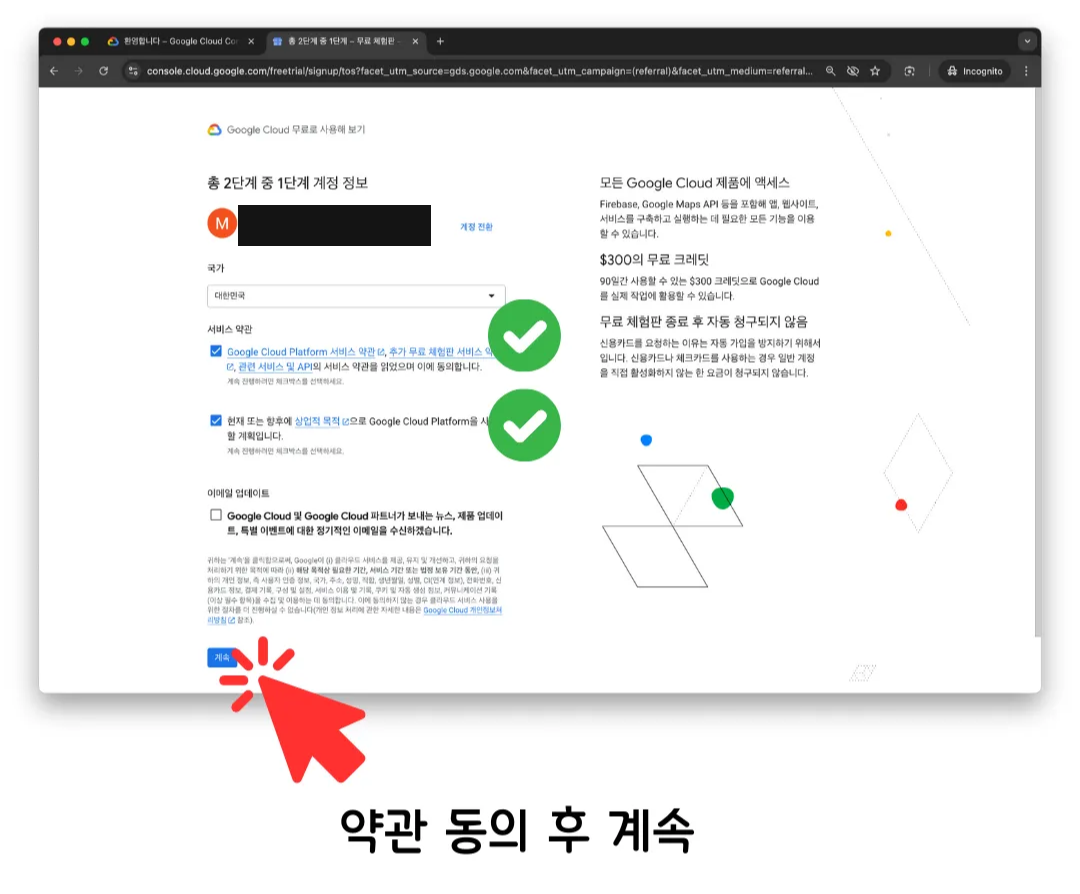 The account information step, with country selected and both terms checkboxes ticked