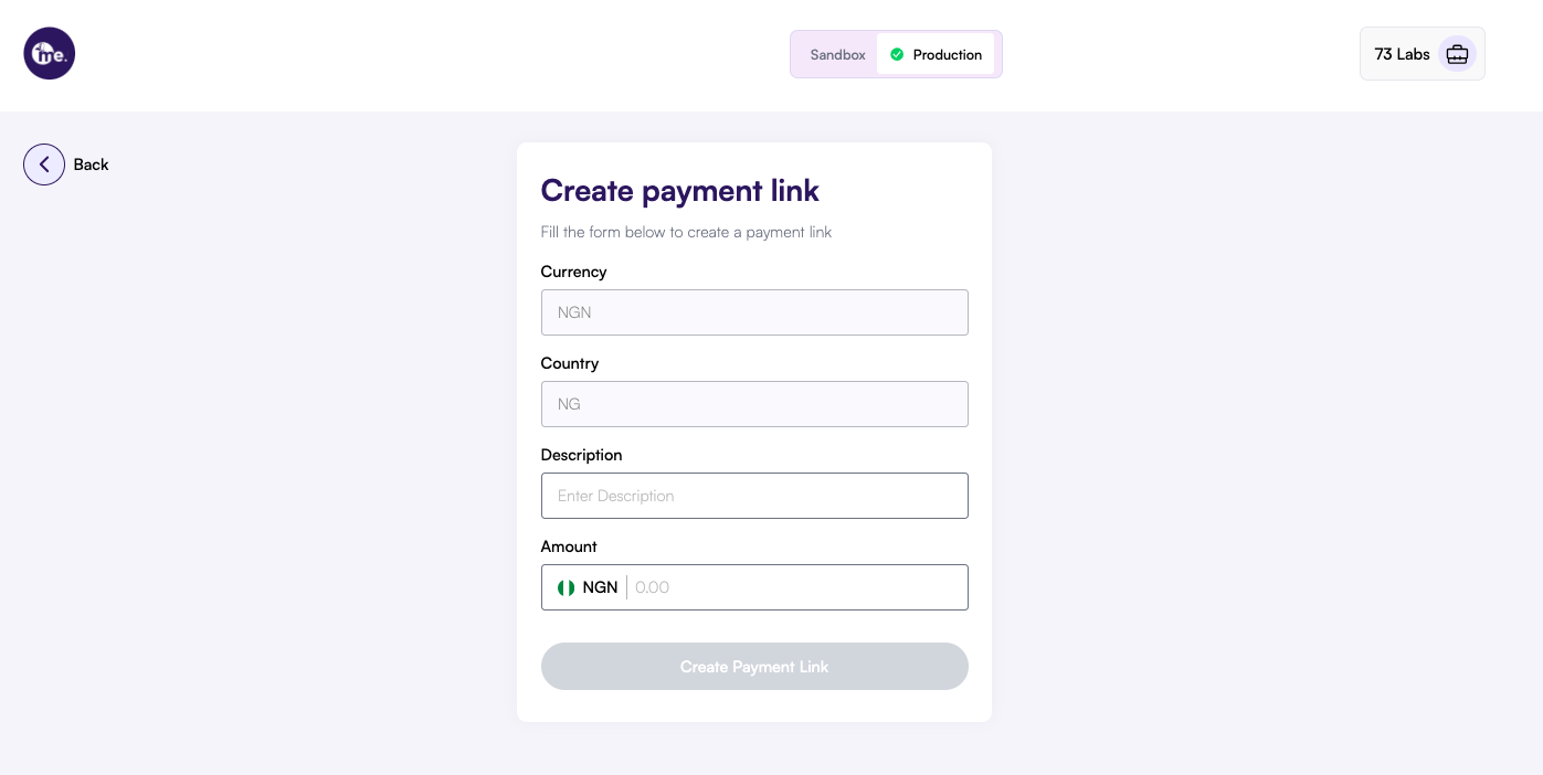 New Payment Link creation form with details fields
