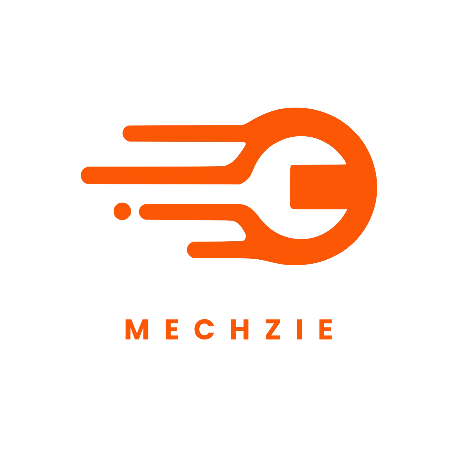 light logo
