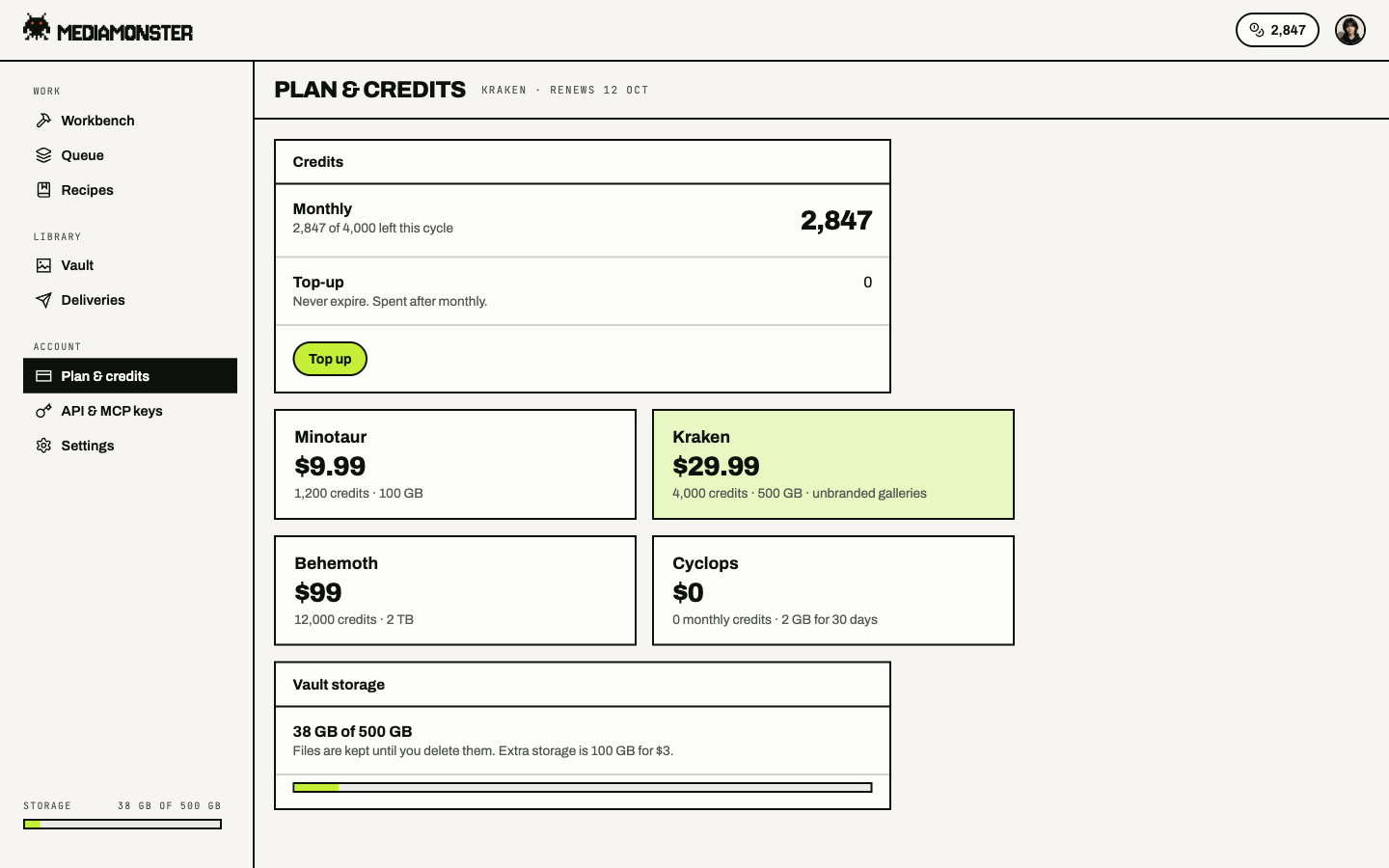 Plan and credits page on Kraken with 2,847 of 4,000 monthly credits, plan cards, and Vault storage at 38 GB of 500 GB