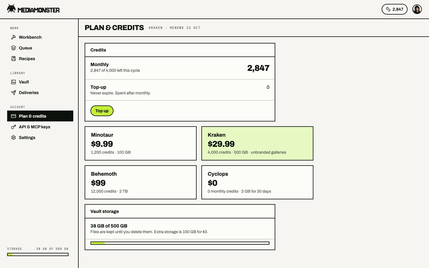 Plan and credits page on Kraken with 2,847 of 4,000 monthly credits, plan cards, and Vault storage at 38 GB of 500 GB