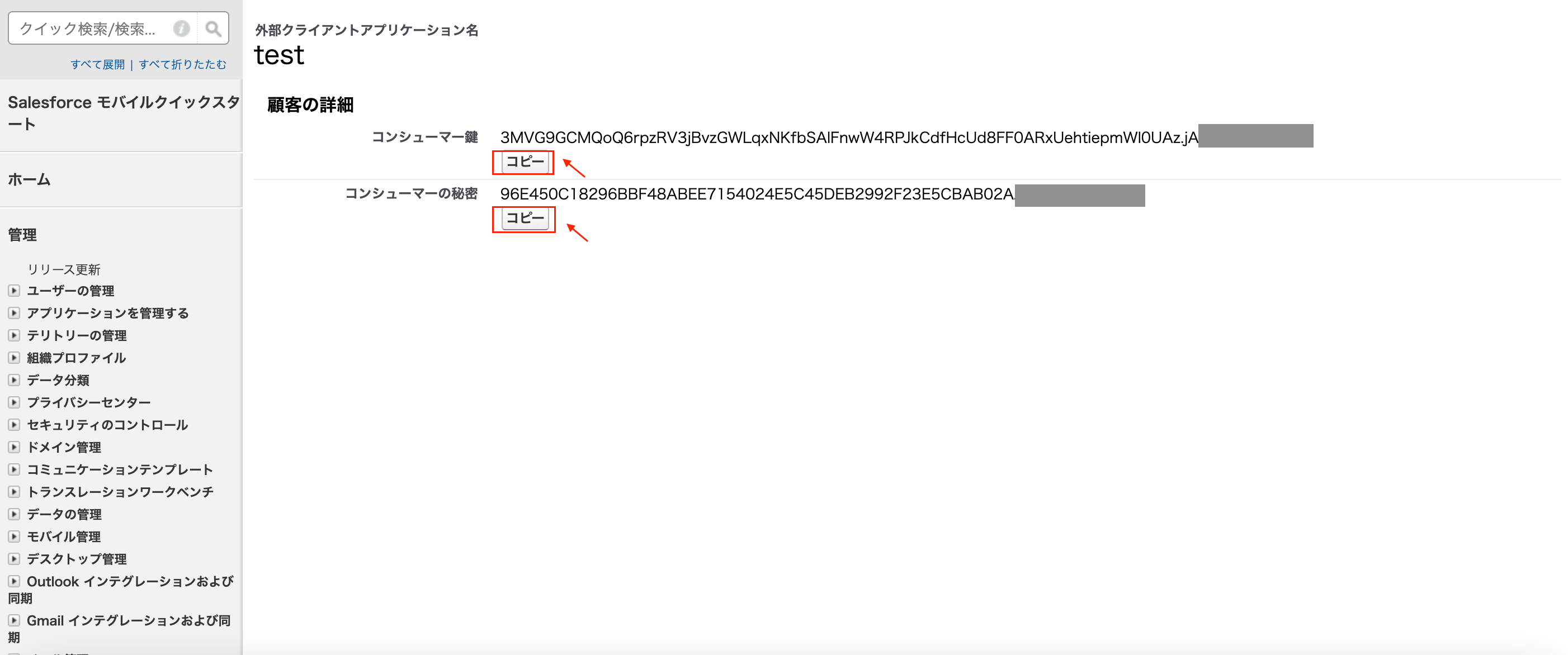 Salesforce でコンシューマー鍵とコンシューマーの秘密をコピーする