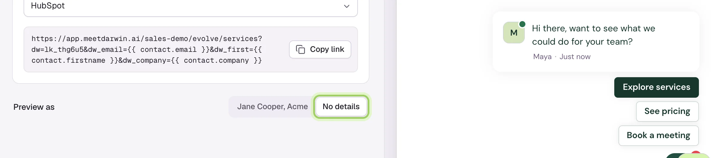 Preview as set to No details, and the chat preview reading Hi there, want to see what we could do for your team? No details is marked.