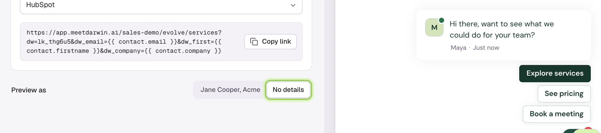 Preview as set to No details, and the chat preview reading Hi there, want to see what we could do for your team? No details is marked.