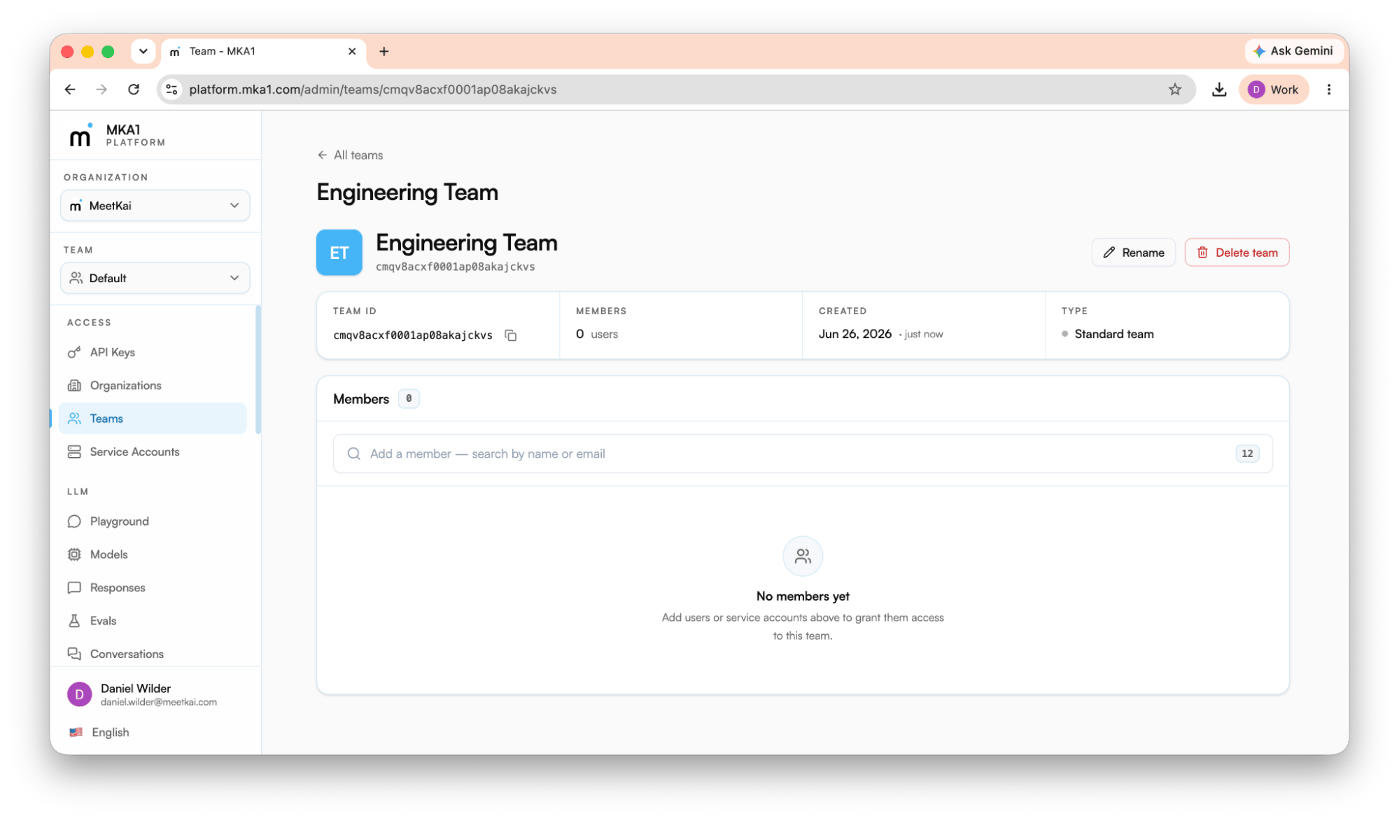 Team detail page under Access → Teams