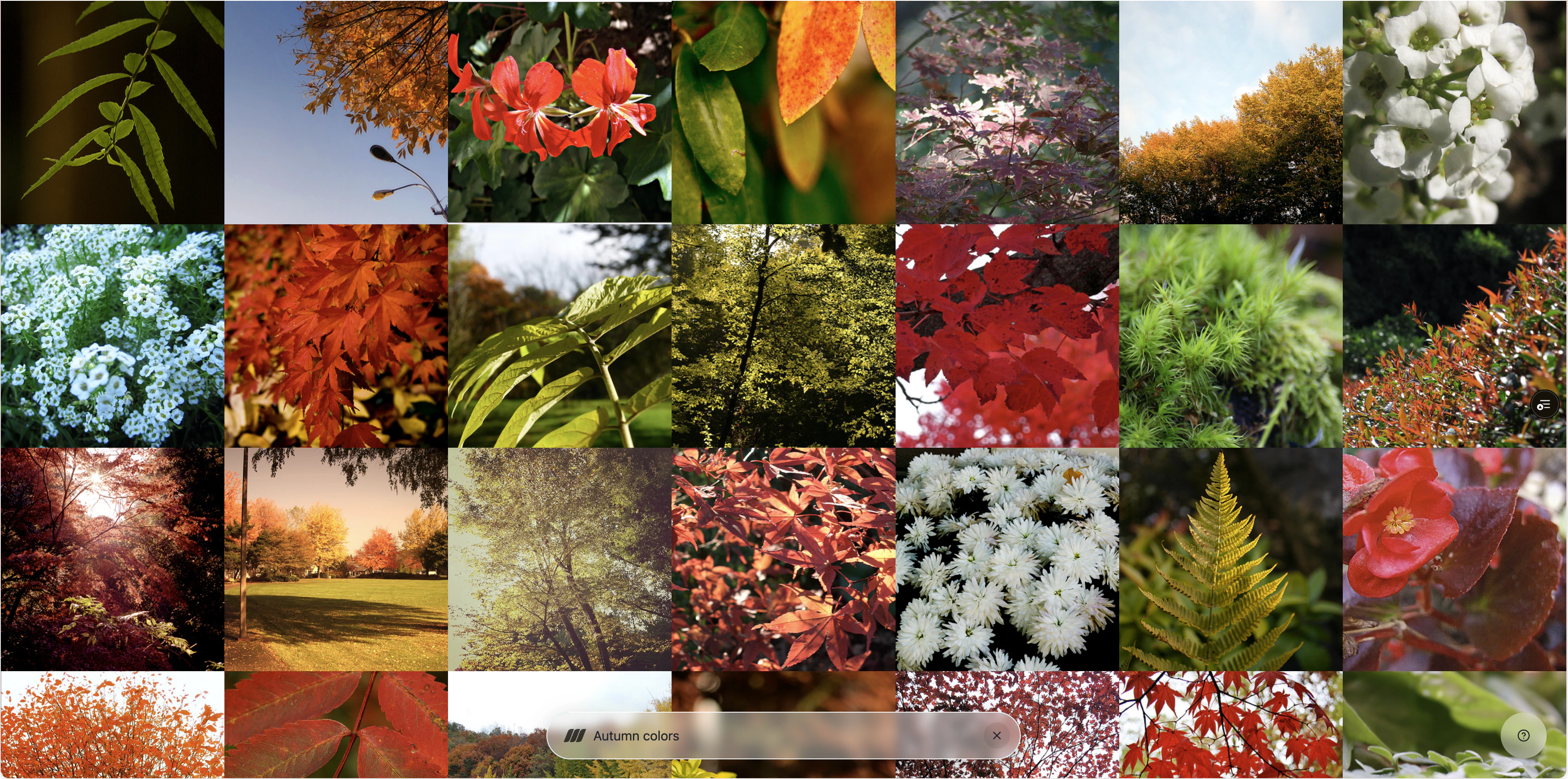 Image search demo showing "autumn colors" results
