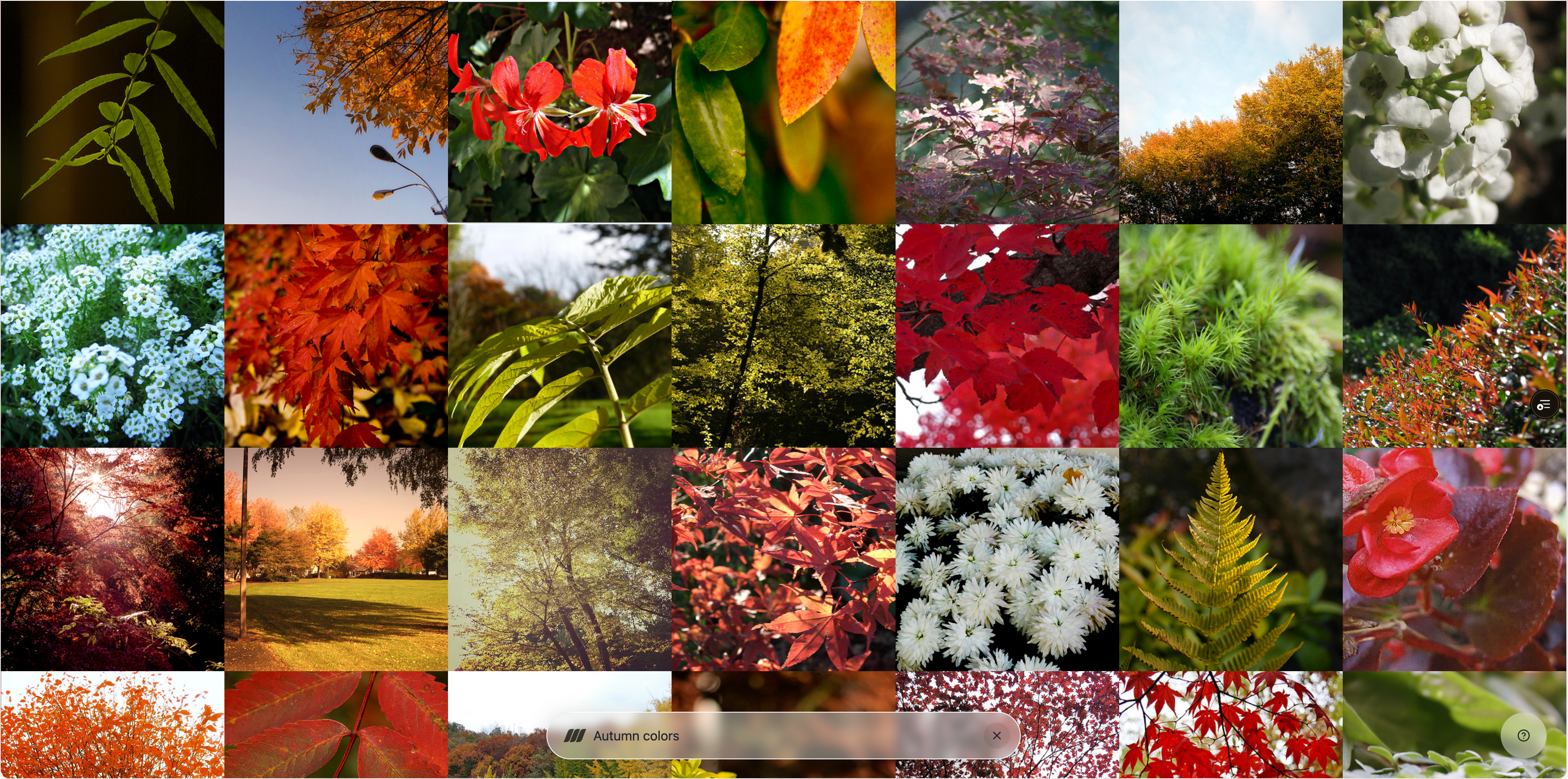 Image search demo showing "autumn colors" results