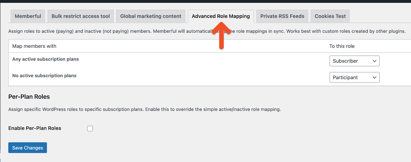 Memberful WP Plugin Settings