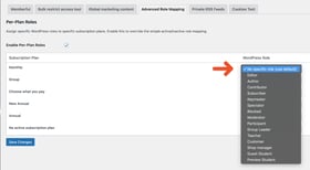 Memberful WP Plugin Settings