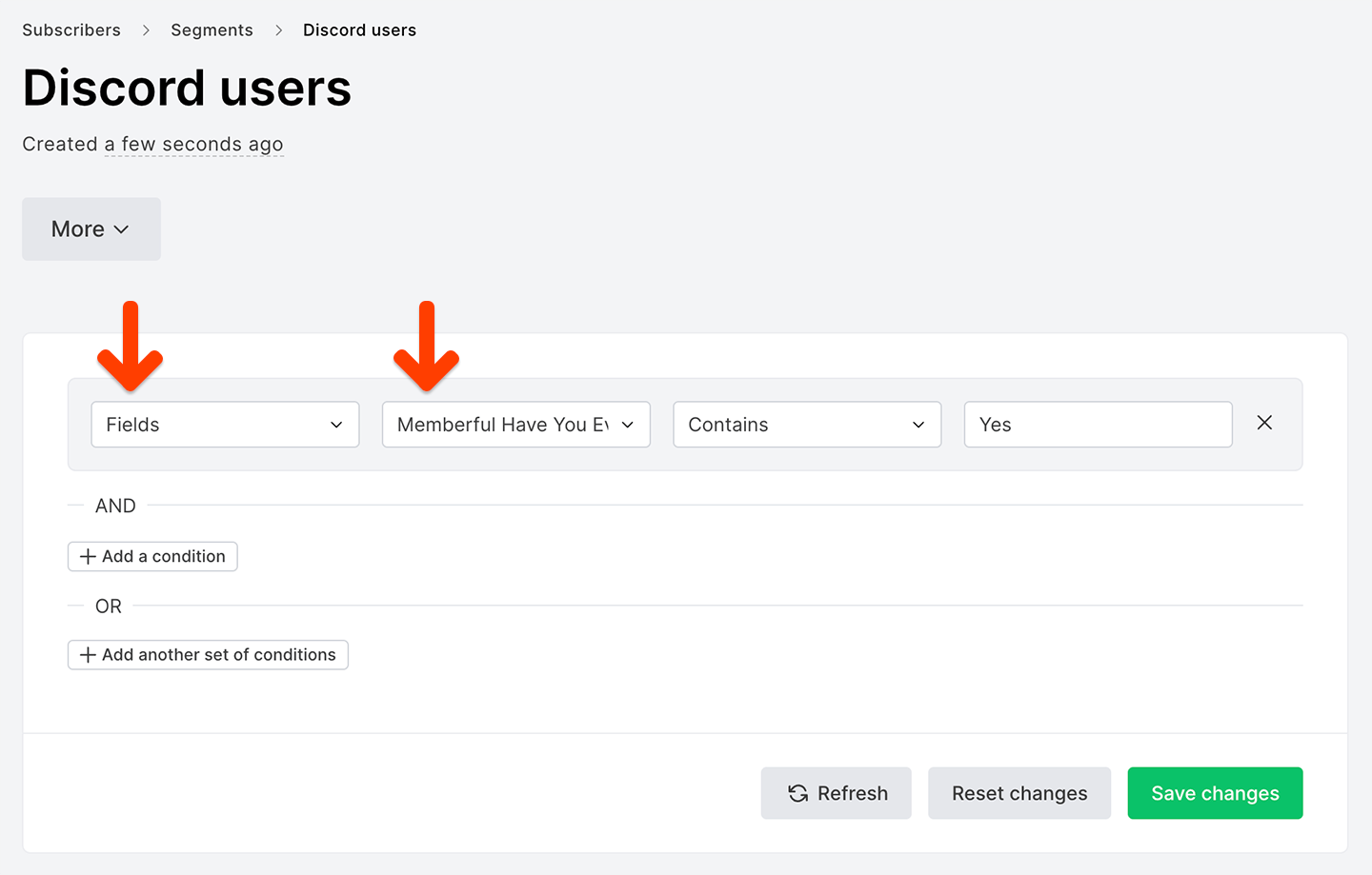 Segment with custom fields on MailerLite
