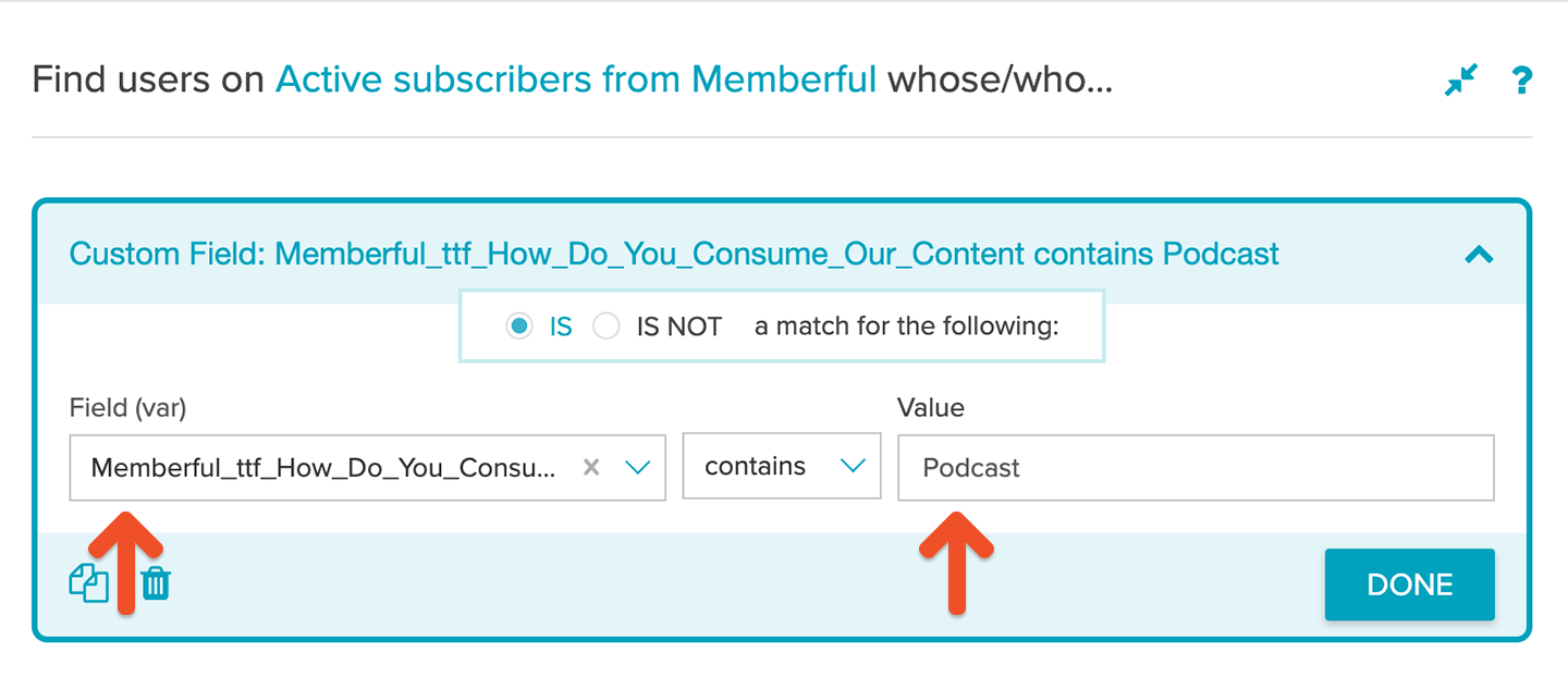 Segment with custom fields