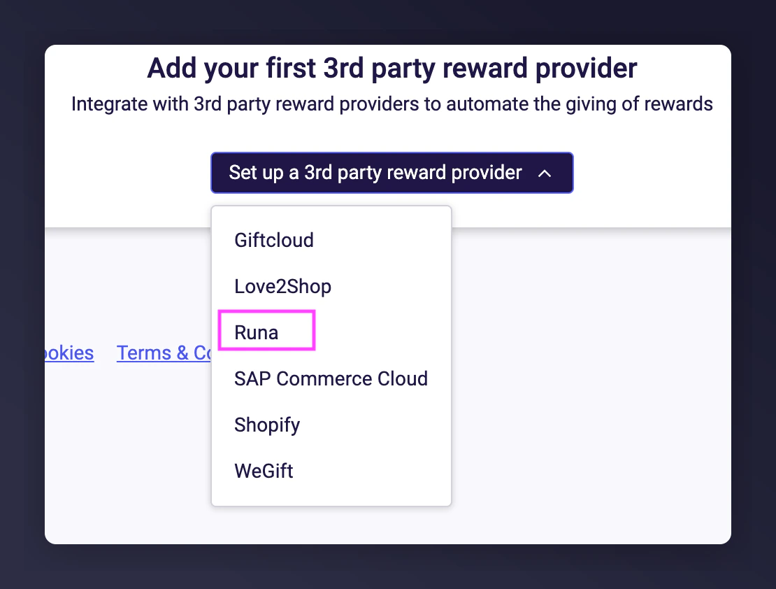 Set-up new 3rd Party Provider dialog with Runa selected
