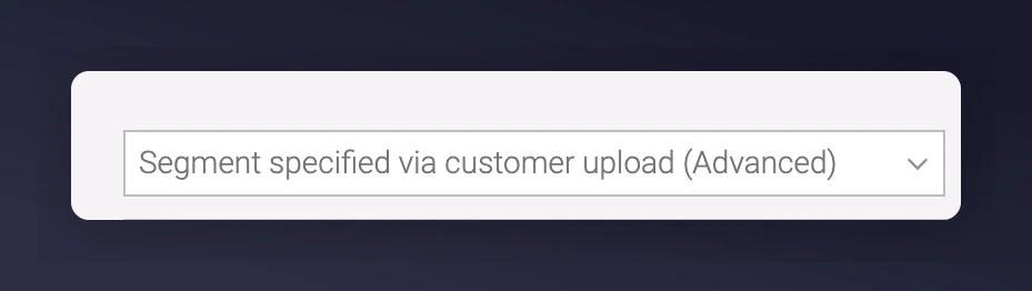 Batch customer import option for segment enrolment