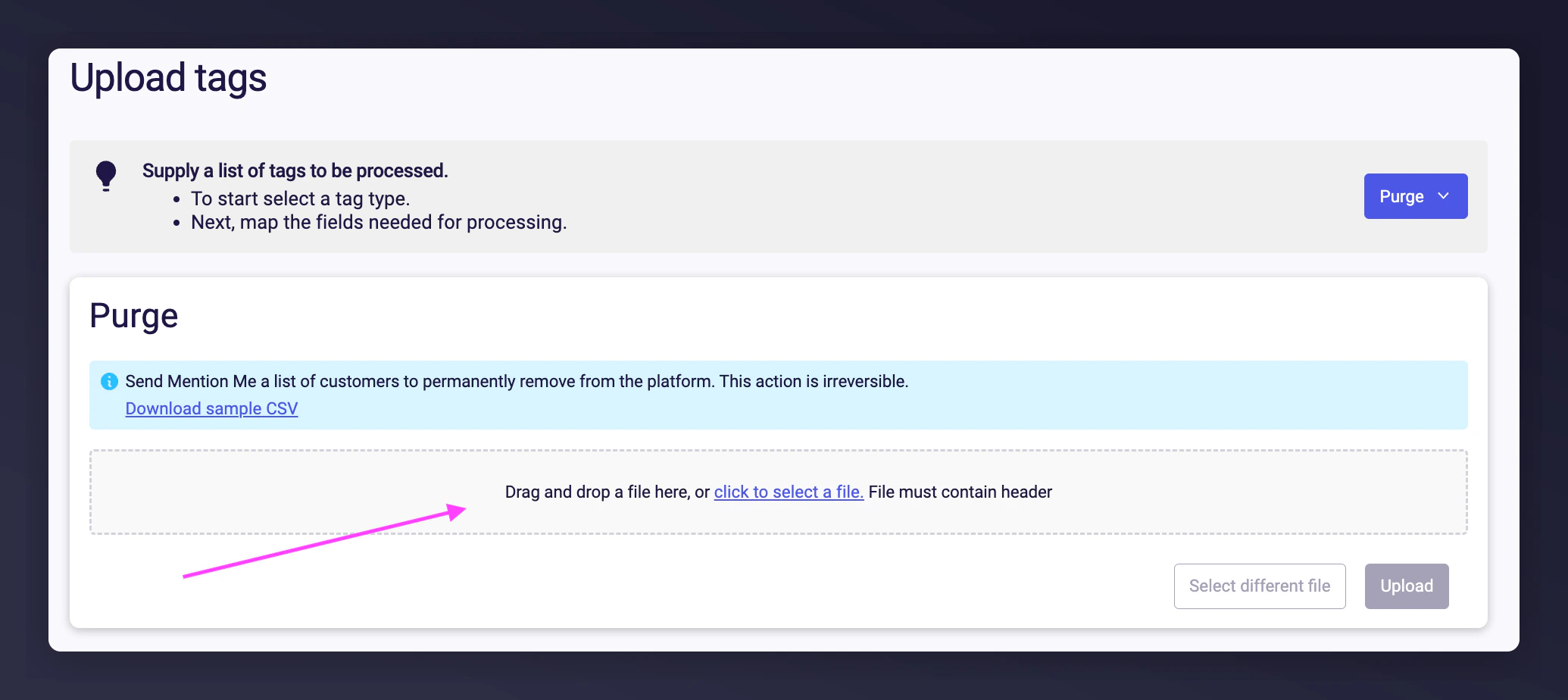 CSV file upload for bulk purge