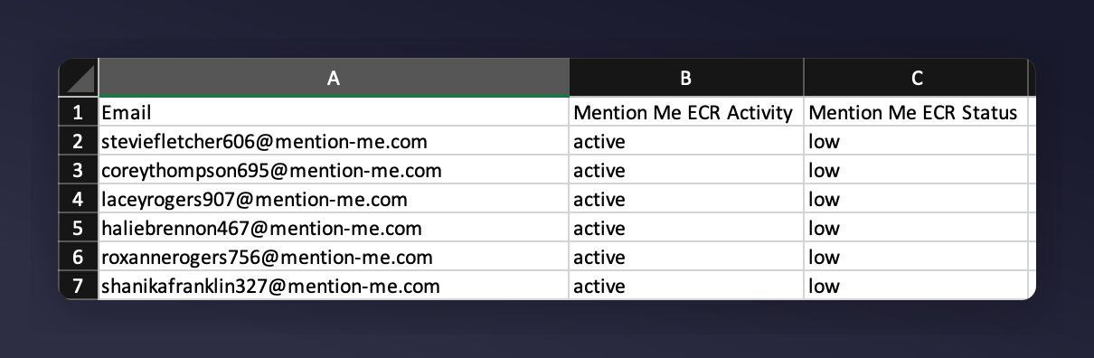 Formatted CSV file with Email, ECR Activity, and ECR Status columns