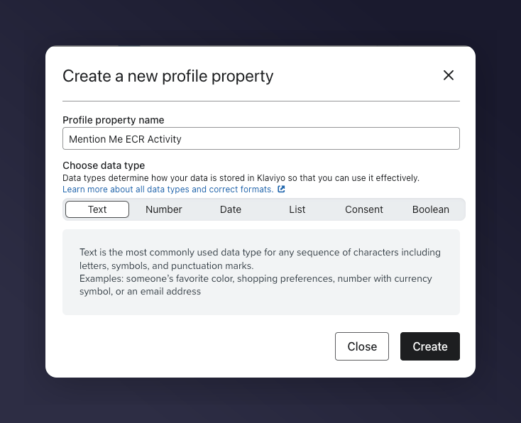 Klaviyo new field with text data type selected