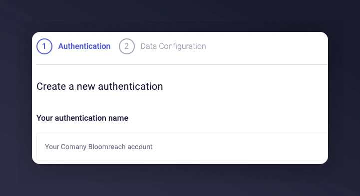 Naming the Bloomreach authentication