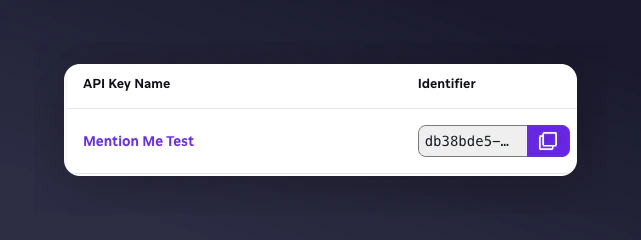 Braze API key ready to copy