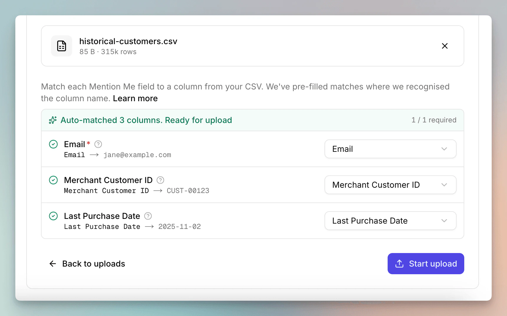 Parsed CSV file with auto-matched columns ready for upload
