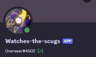 Screenshot of Overseer's Discord profile