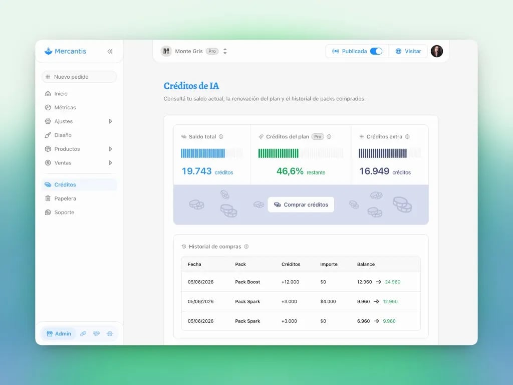 Créditos de IA: saldo total, créditos del plan, créditos extra e historial de packs