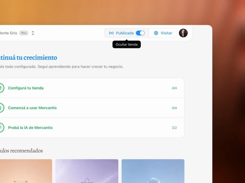 Header del panel: tienda Publicada con tooltip Ocultar tienda