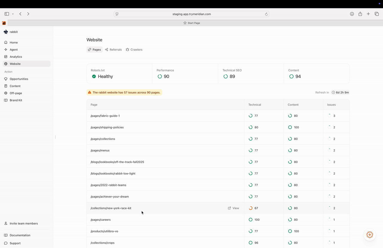 Website → Pages overview with health scores and page list