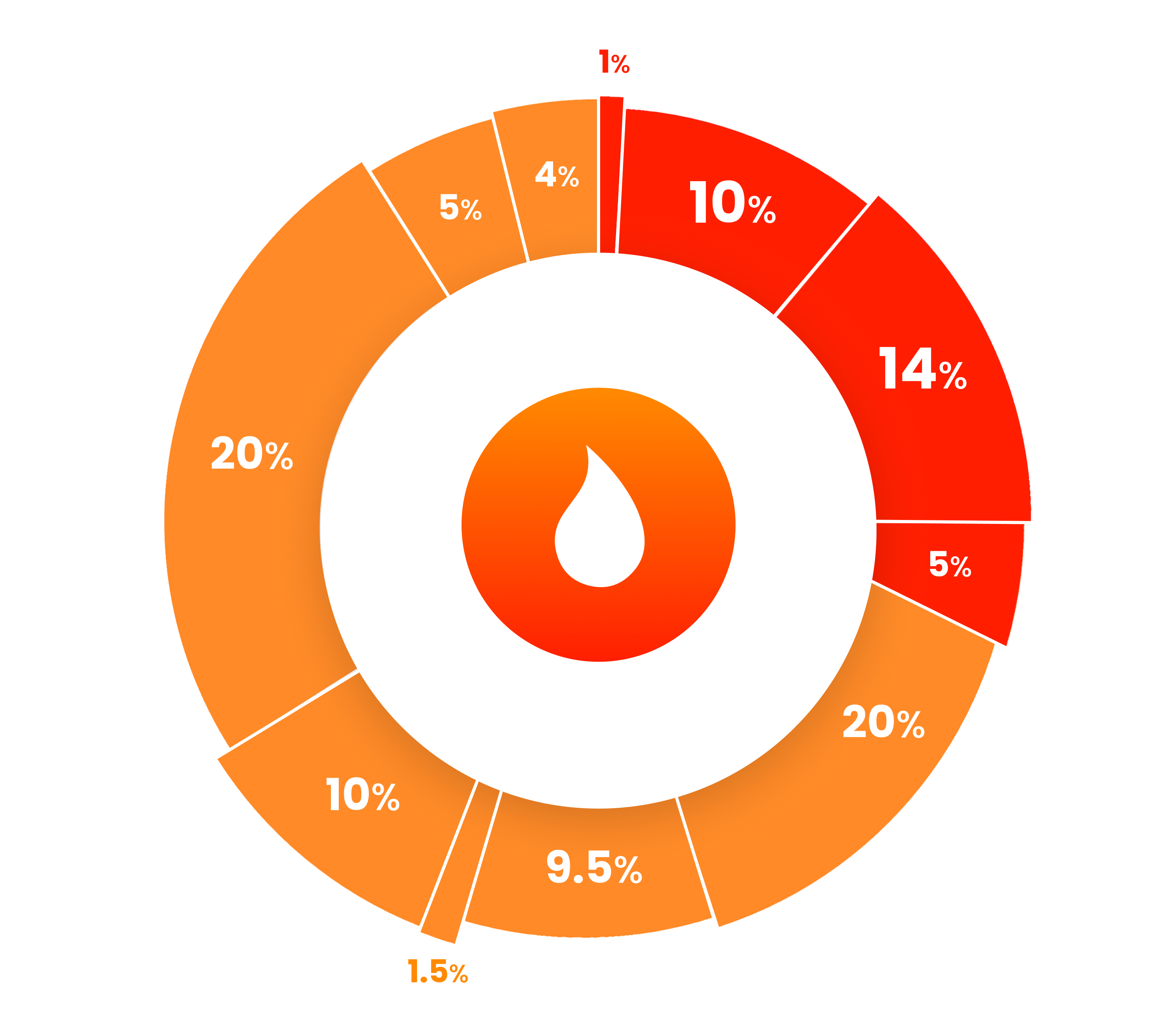 Allocation Pie Chart