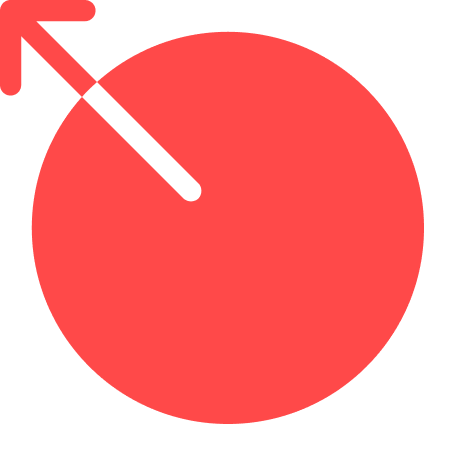 light logo
