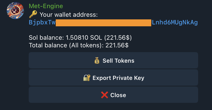 Wallet details showing address and balance