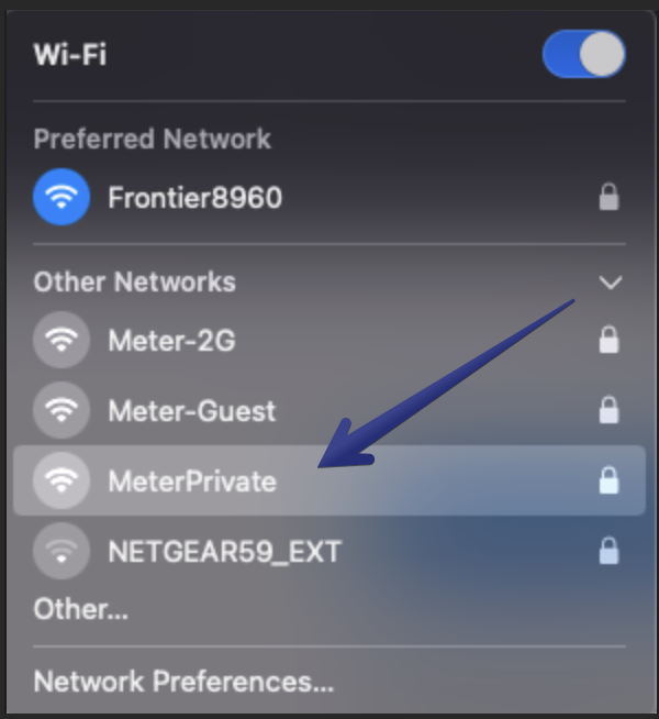 Meter network selection