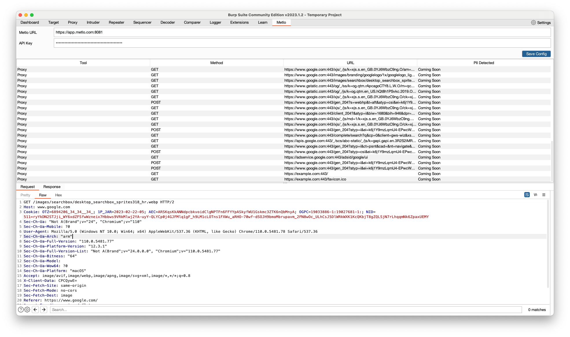 Configuring Metlo burp-suite extension