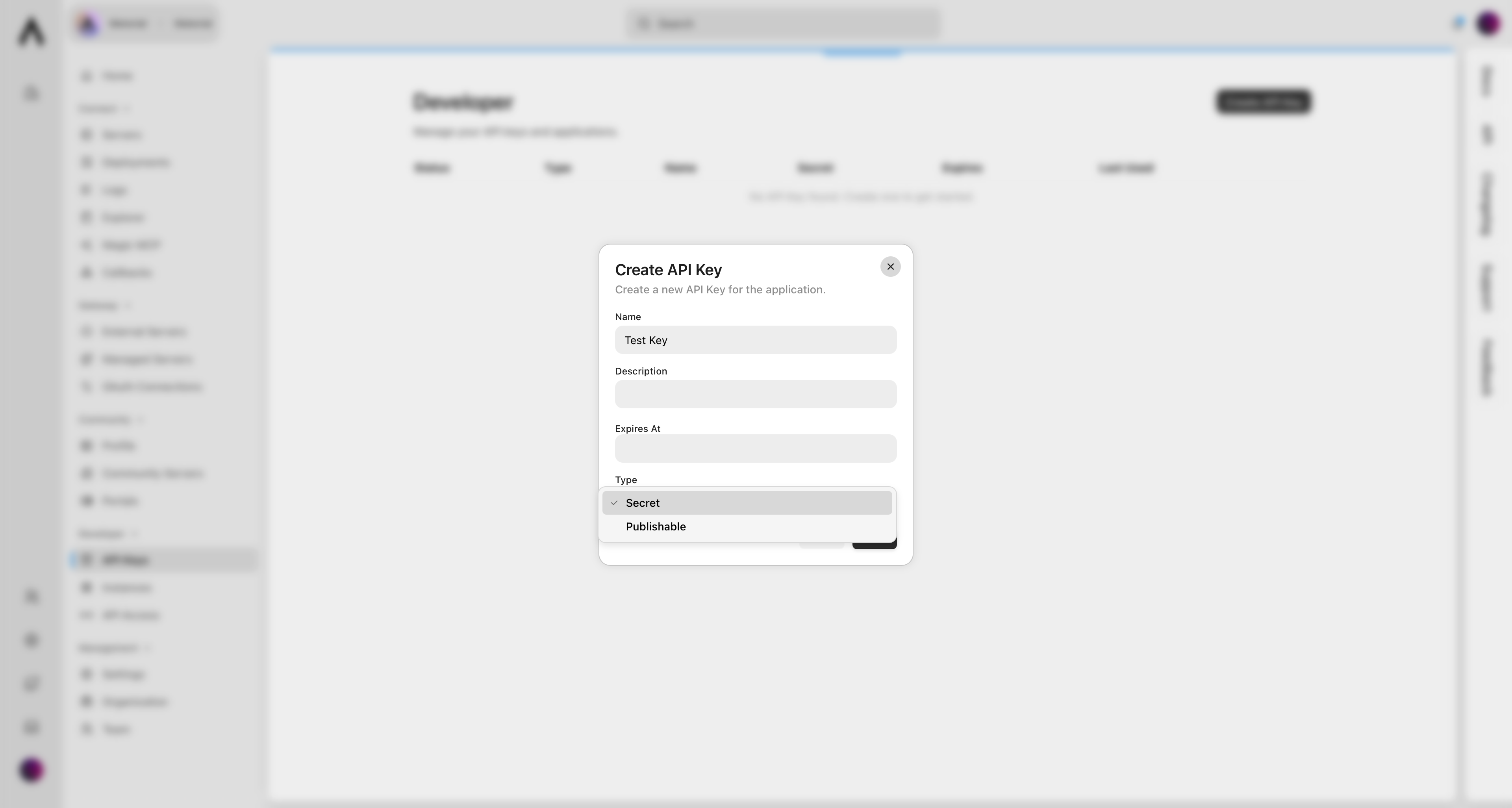 Create API Key dialog in Metorial dashboard