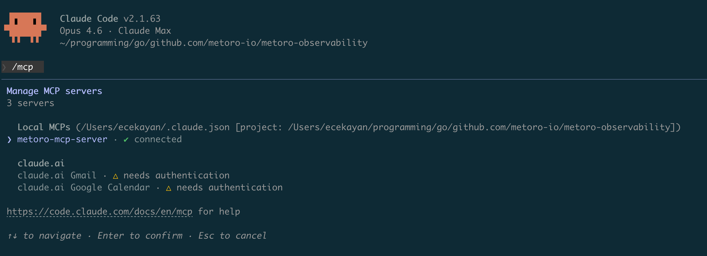 Claude Code Metoro MCP connected view