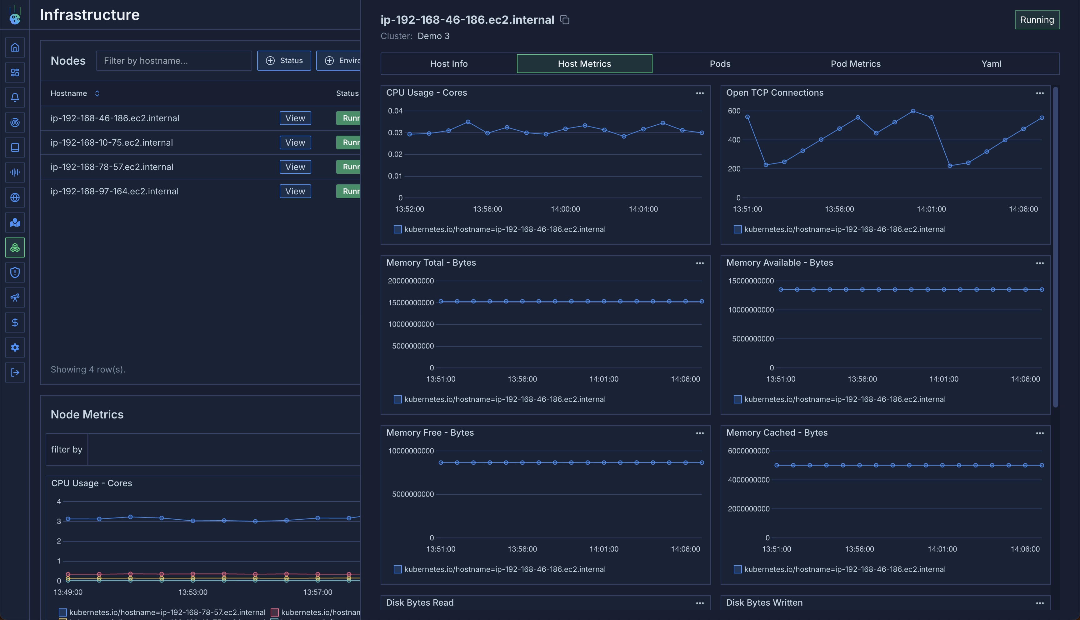 Host metrics dashboard for a node