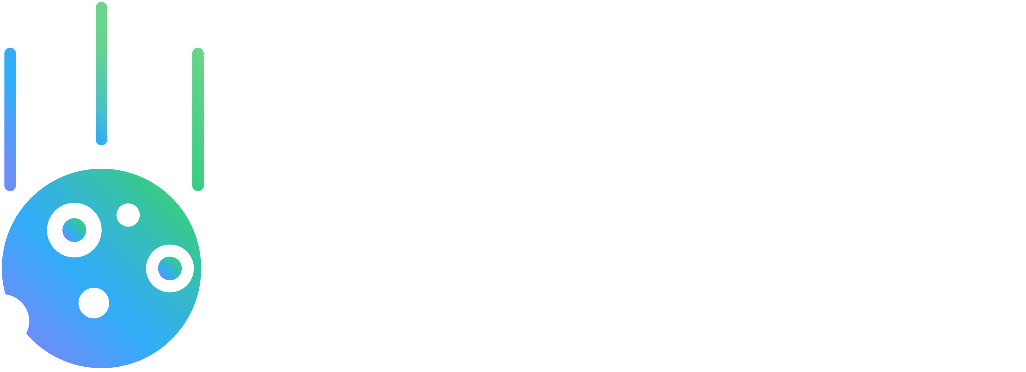 light logo