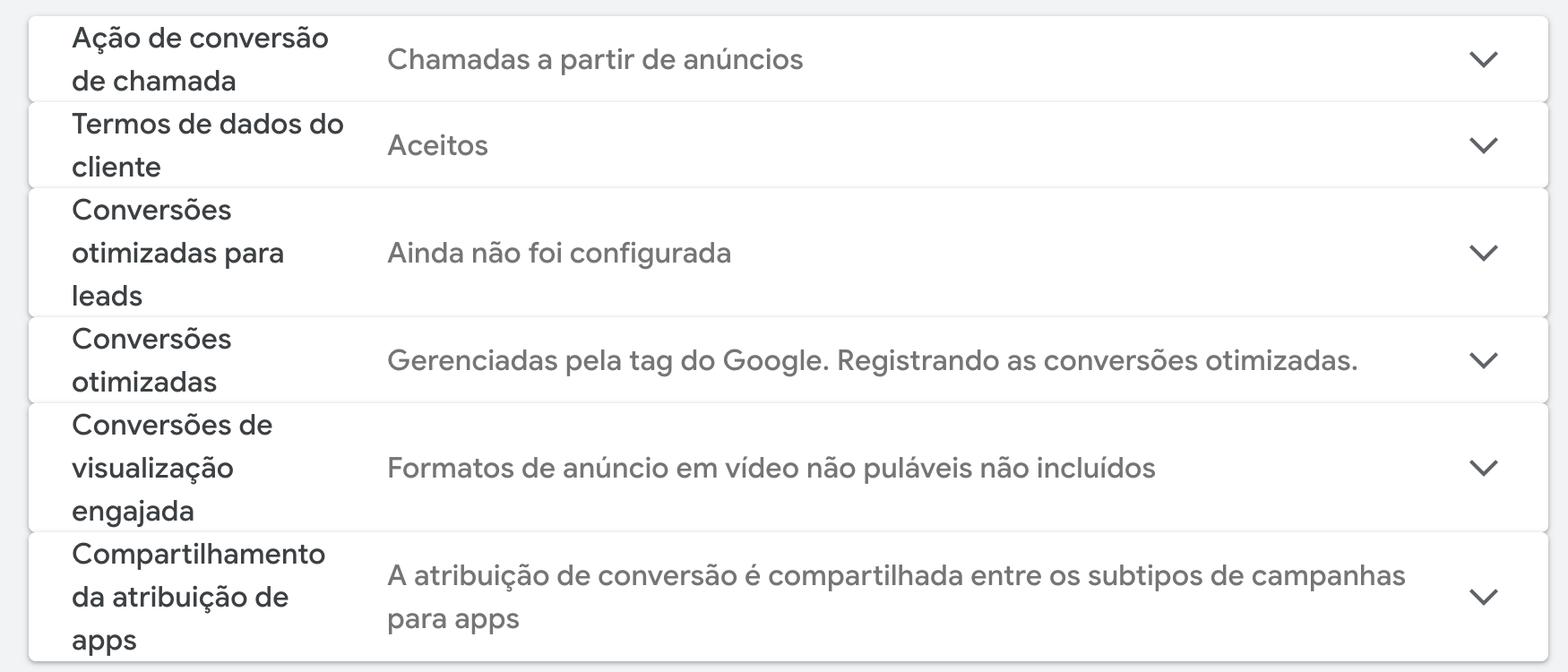 Configurações de conversão do Google Ads com Termos de dados do cliente Aceitos