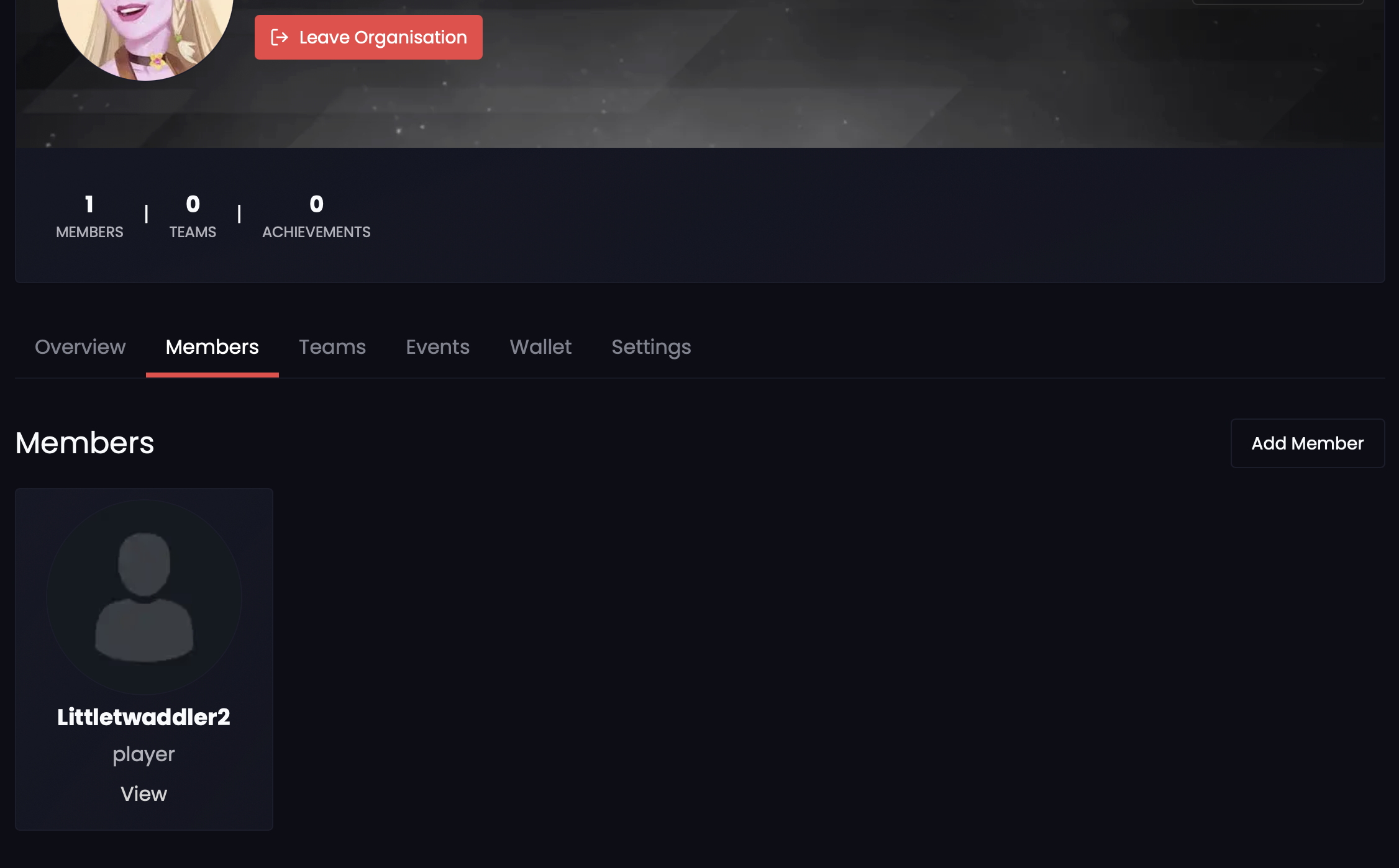 Organisations Roles & Permissions