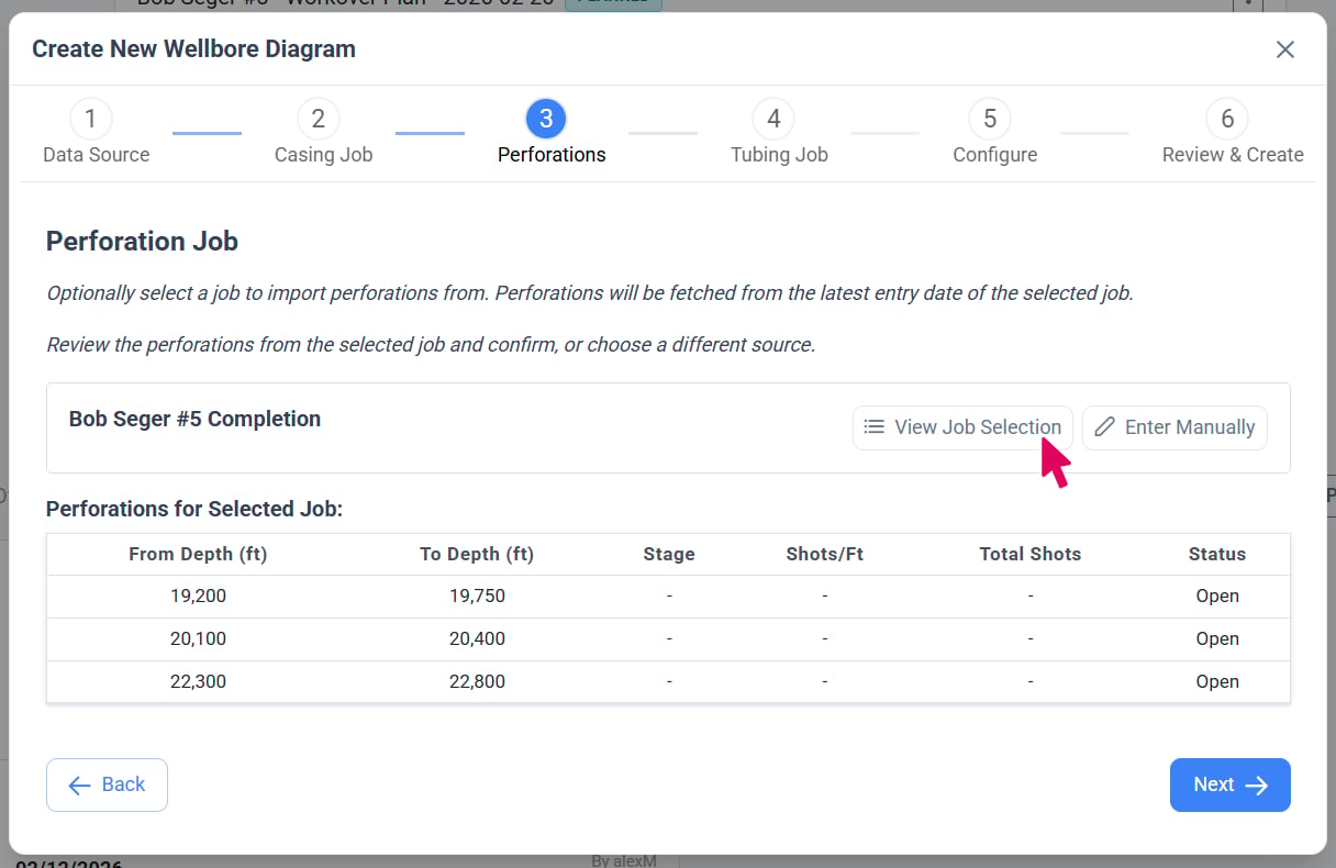 Select the Perforation Job