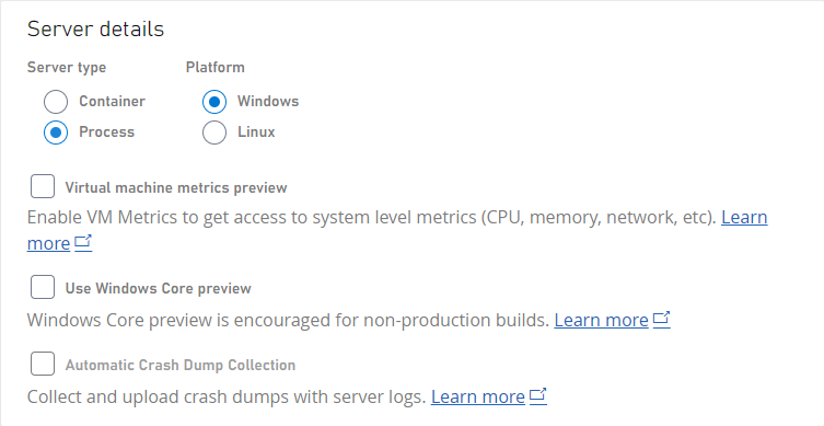 Détails du serveur avec Windows Process sélectionné comme système d'exploitation et type de serveur