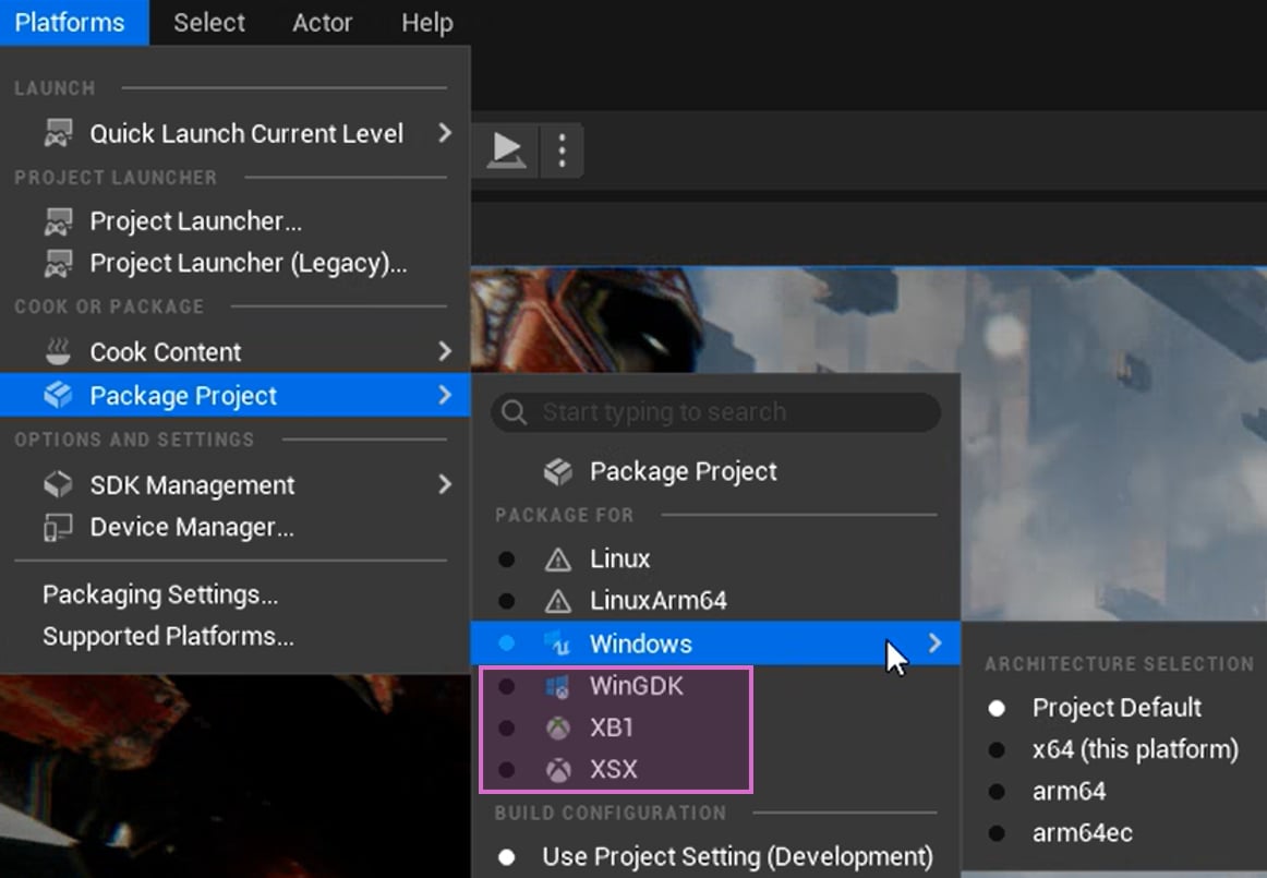 Unreal Engine GDK platforms in Unreal Editor.