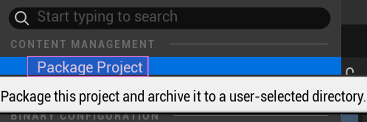 Package option within Unreal Editor.