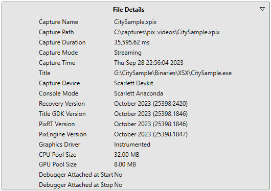 Summary 檢視的 File Details 區段