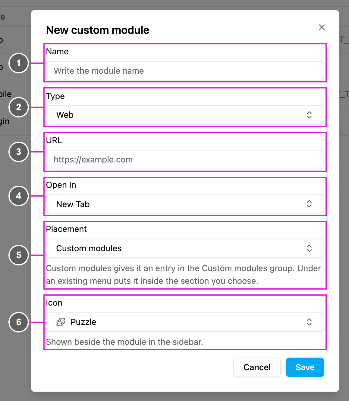 New custom module, type Web