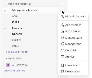 Team menu with the Manage team option