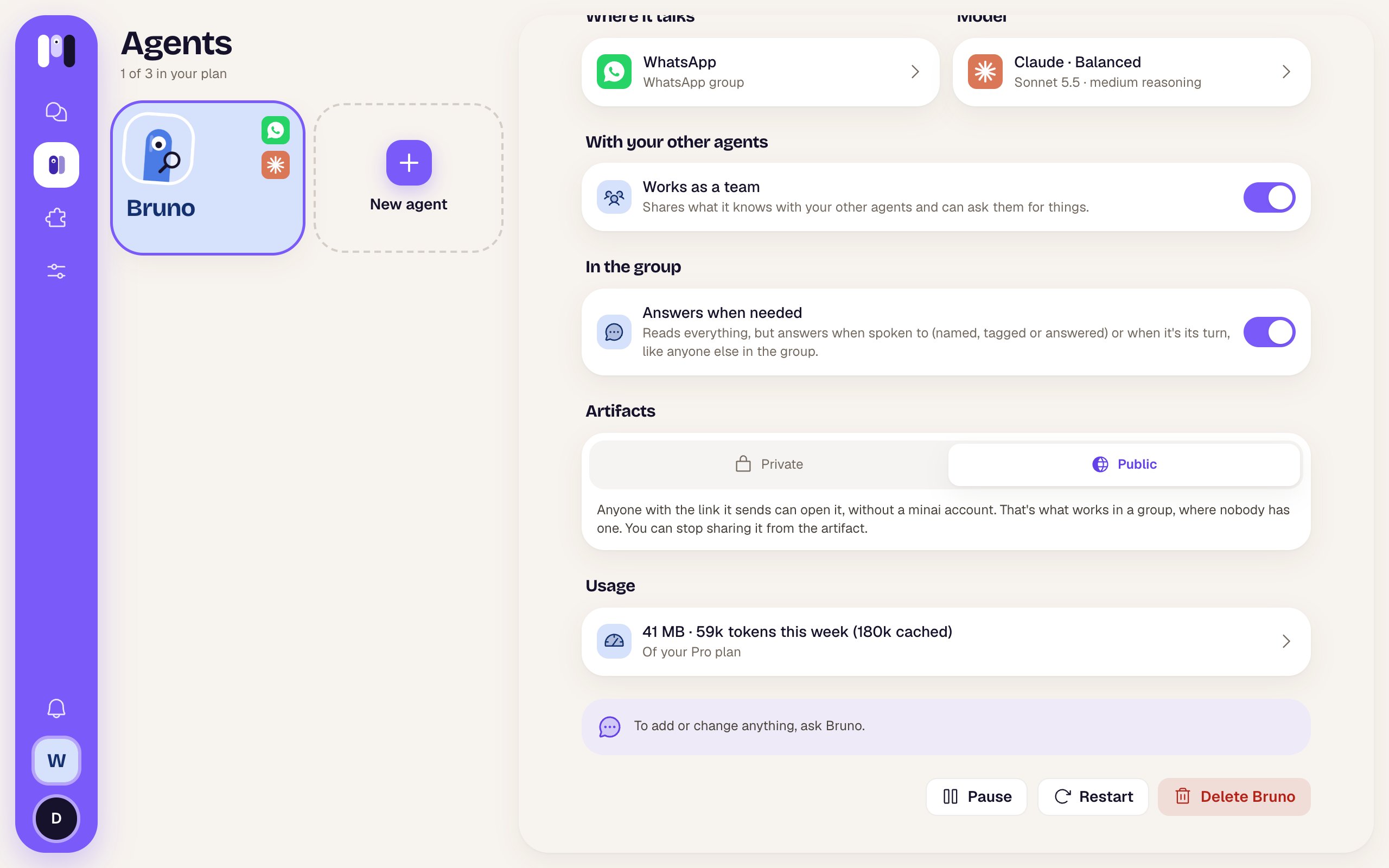 Artifacts section of Bruno's Overview with Public selected