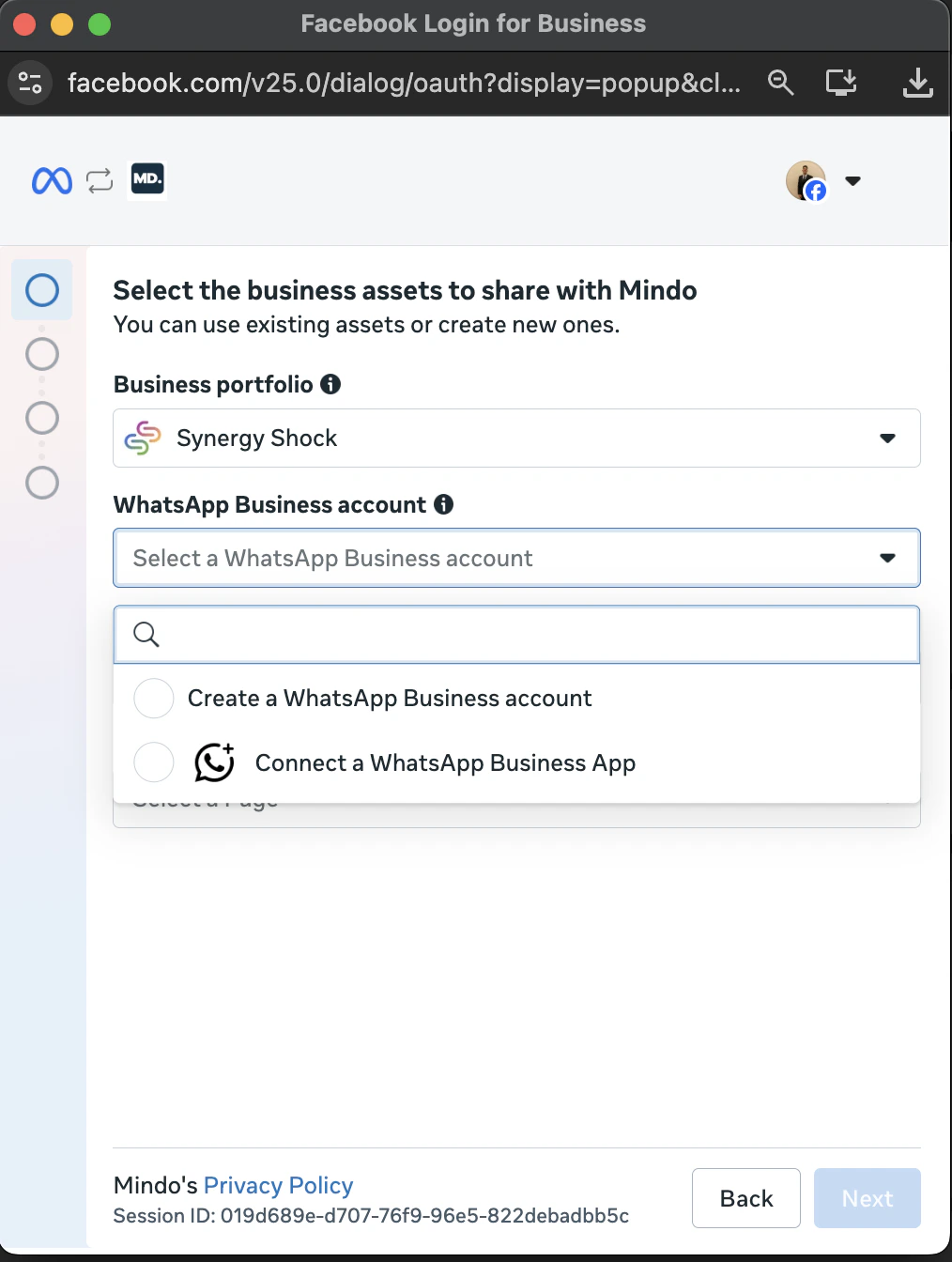 Selección de Business Portfolio