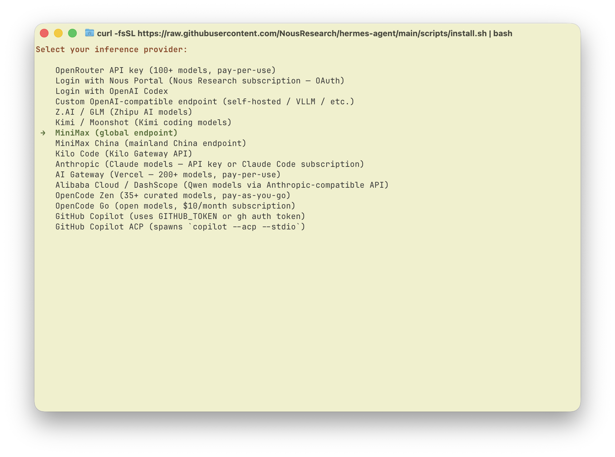 Select MiniMax (global endpoint)